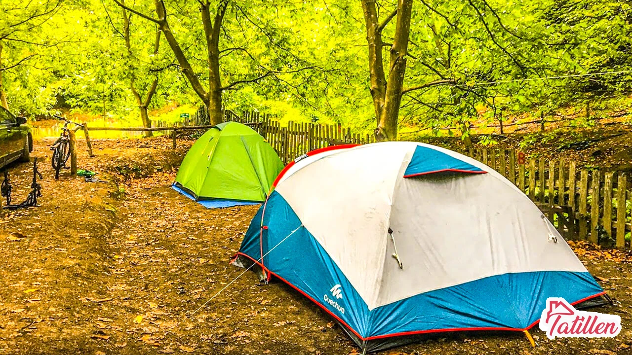 Sapanca ücretli kamp alanları
