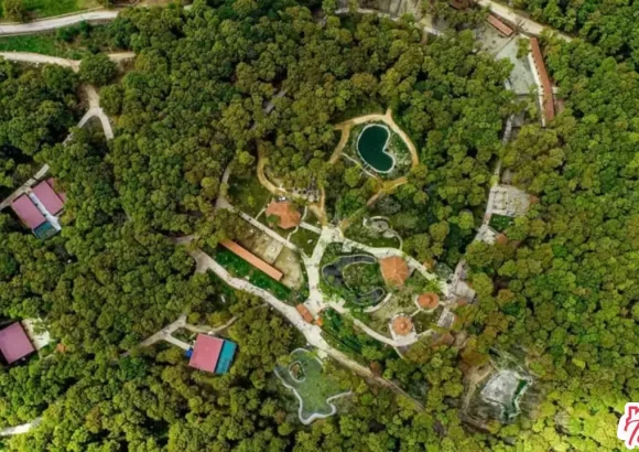 Sapanca Gezilecek Yerler Listesi: Ormanya Doğal Yaşam Parkı 2023